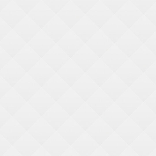 Dell  12.0-inch 256GB